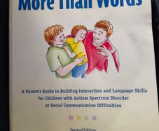 More Than Words book