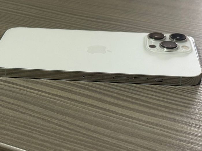 iPhone 13 Pro Max 264gb