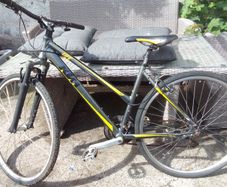 lady bike for sale