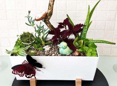 indoor plant