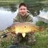 hoggy017