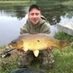 hoggy017