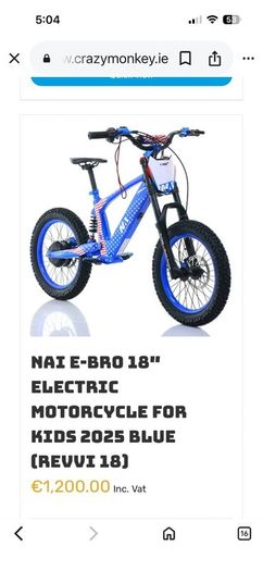 Electric bike