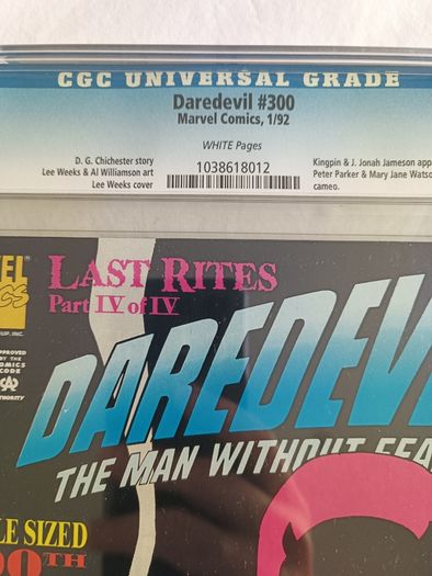 Daredevil Issue 300 CBCS / CGC 9.8 Certified Graded Comic Framed  DC Marvel