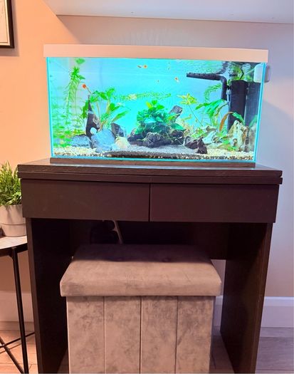 Aquarium & Table Stand