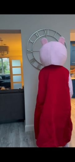Peppa pig costume