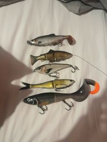 fishing lures