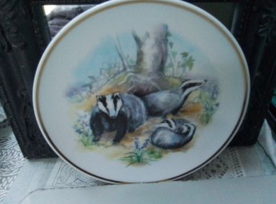 Wildlife Collectors Plate