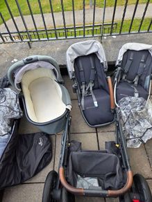 vista buggy