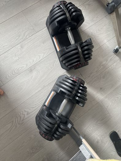 adjustable weights
