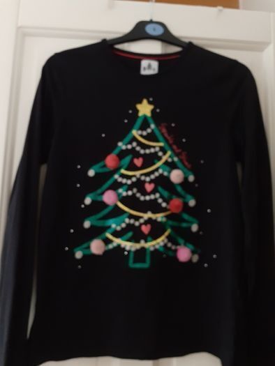 Christmas blouse