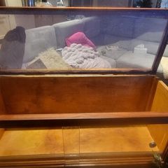 Handmade terrarium