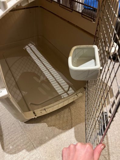 Dog Travel Crate