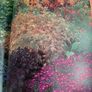 New Geoff Hamiltond year in your garden book Image 5