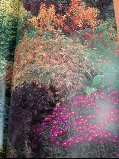 New Geoff Hamiltond year in your garden book