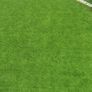 Artificial grass Image 3