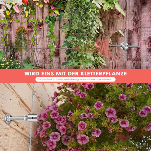Plant Support,T316 Stainless Steel Trellis for Climbing Plants, Professional System with Wall Brackets 16Holders, 24 m Rope