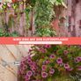Plant Support,T316 Stainless Steel Trellis for Climbing Plants, Professional System with Wall Brackets 16Holders, 24 m Rope Image 10