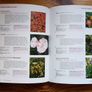 Plant Solutions Nigel Colborn Image 6