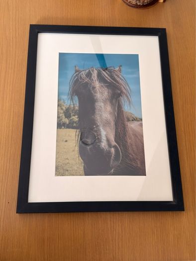 Framed Original Print