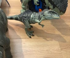 Dinosaurs big small all Jurassic park more smaller ones there to avaible on request