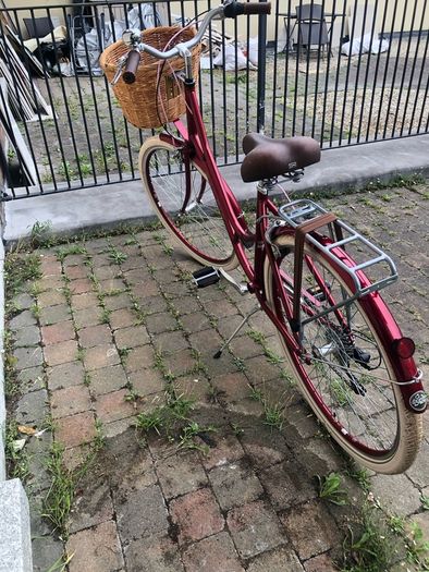 Releigh Willow Women's Bike