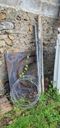 shed clearance