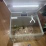 Fish tank Image 3