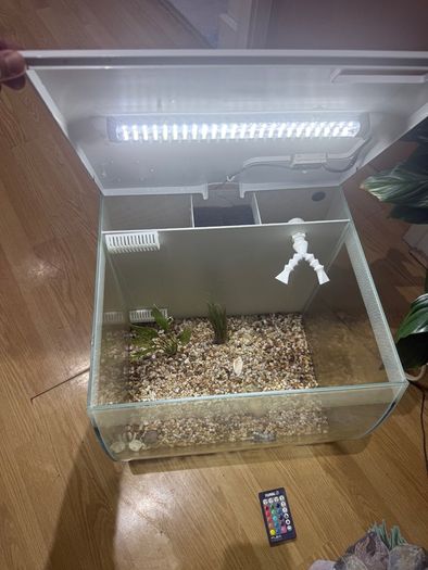 Fish tank