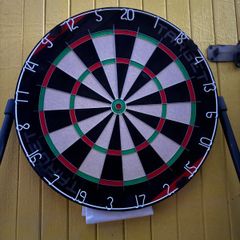 dart board + dart rog