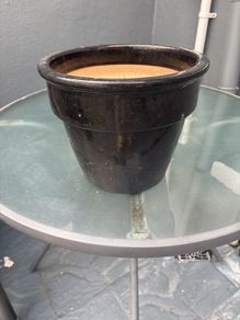 plant pot