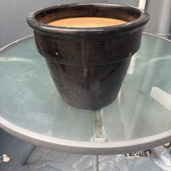 plant pot