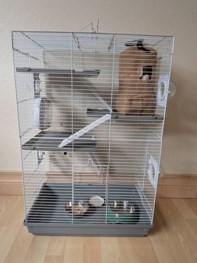 Rat cage and 2 cute rats