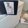 blackrock rigger safety boots size 9 Image 5