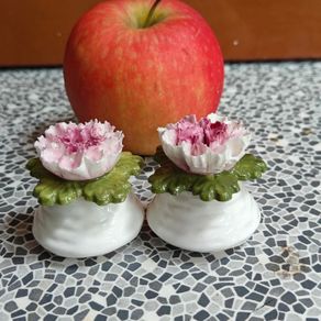 Pair of Aynsley China floral posies