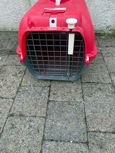 cat carrier