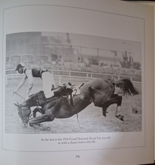 Vincent O Brien / The National Hunt Years /1st edition/ 1992