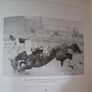 Vincent O Brien / The National Hunt Years /1st edition/ 1992 Image 10