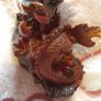 Red dragon ornament Image 5