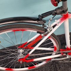 raleigh fixie bike