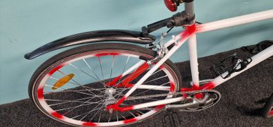 raleigh fixie bike