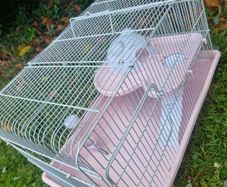hamster rabbit cage