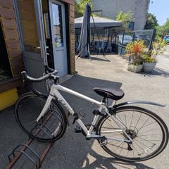 Trek Domane AL 3 WSD road bike