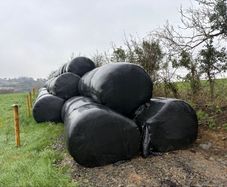 Round bales Silage