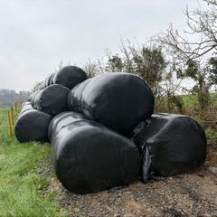 Round bales Silage