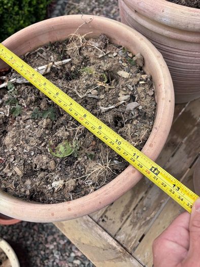 Set of 3 terracotta pots