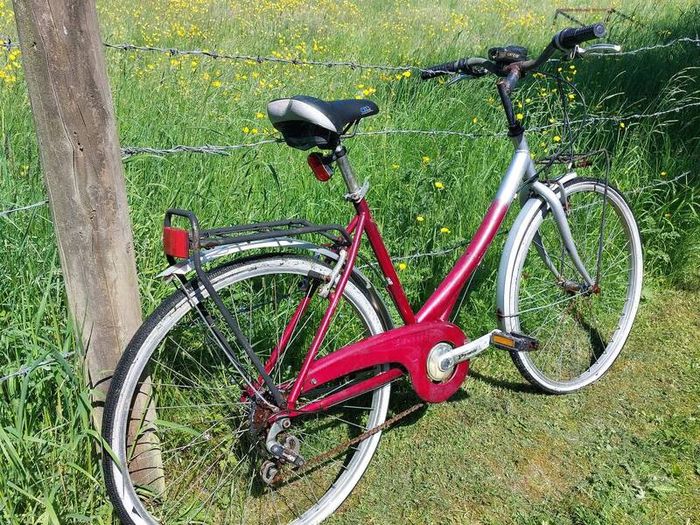Ladys Bike