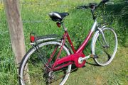 Ladys Bike
