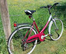 Ladys Bike