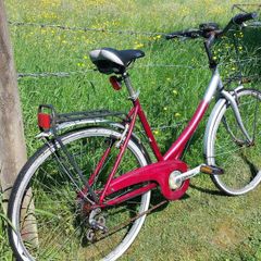 Ladys Bike